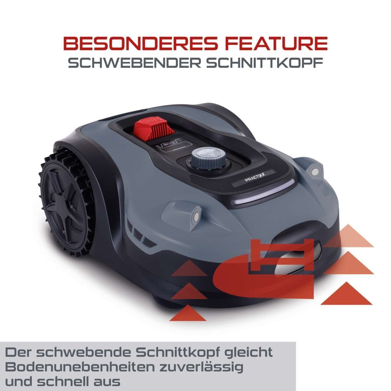 ASJSZ7.jpeg