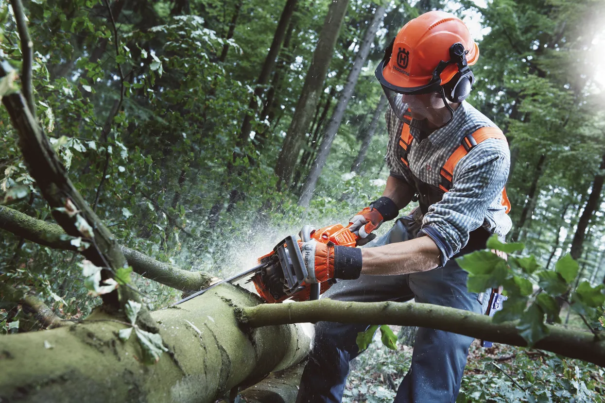Husqvarna-555-2.webp