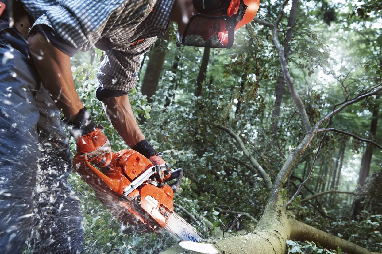 Husqvarna-555-3.webp