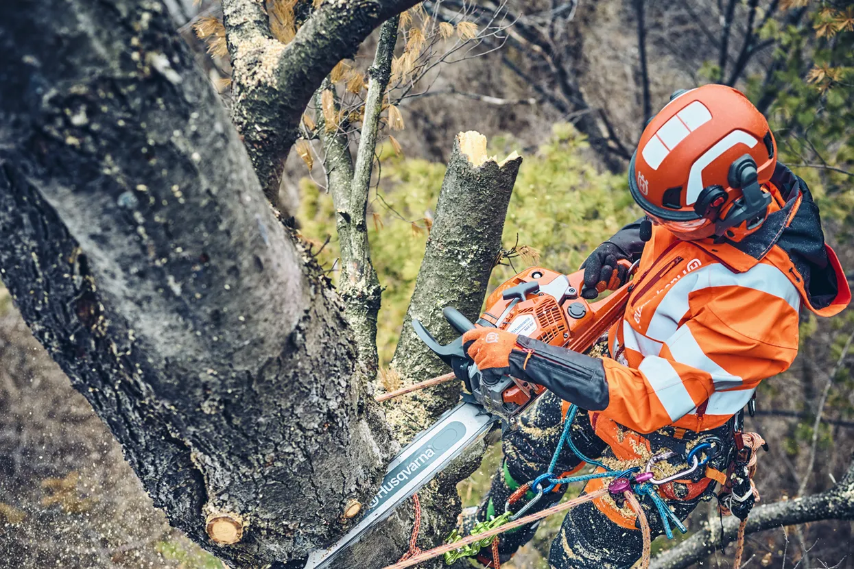 Husqvarna-560-XP-7.webp