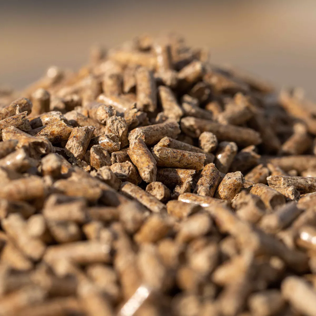 PAX15-Holzpellets-BLUE-Haufen-2.webp