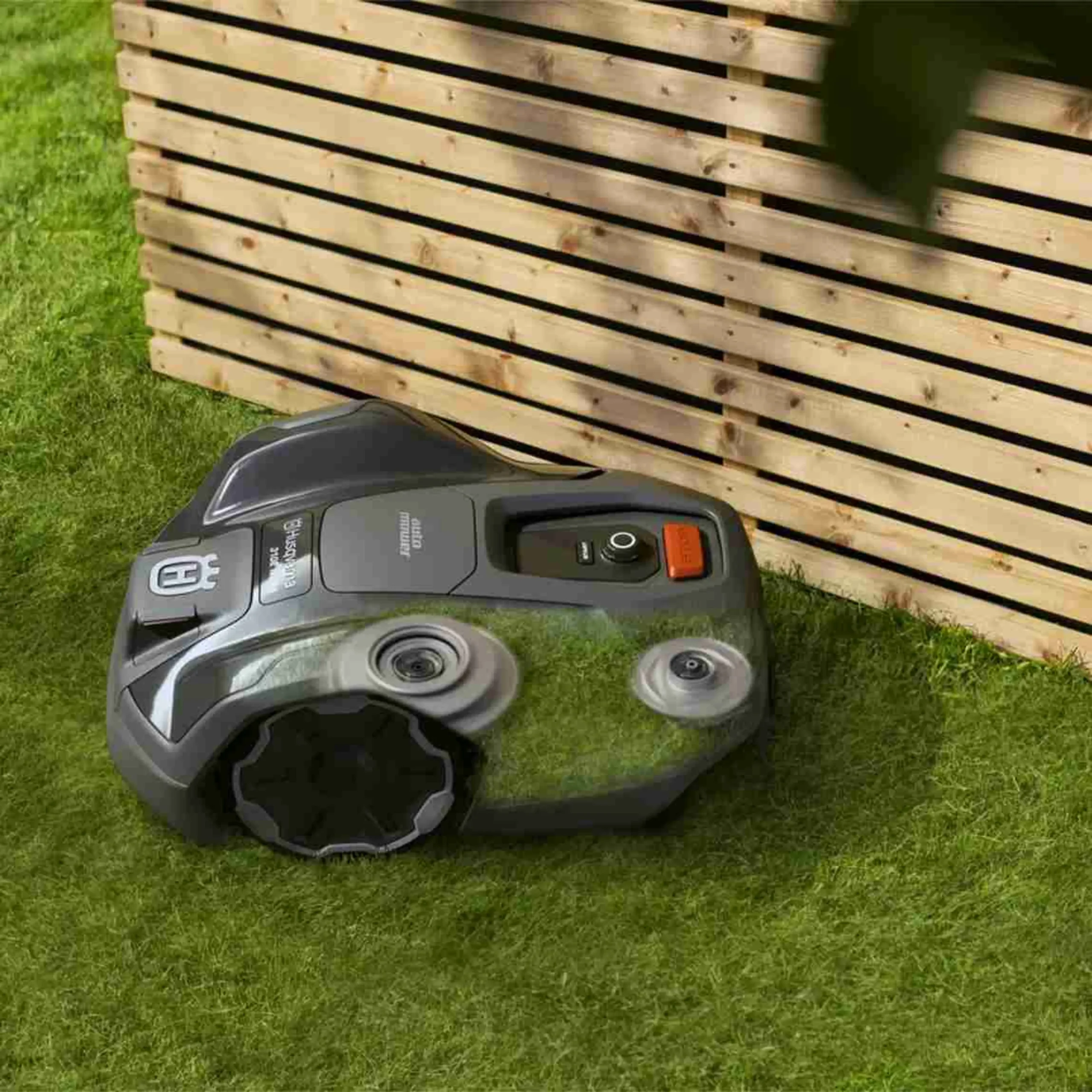 image-1-scaled-1.webp